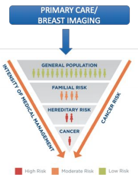 Primary Care/ Breast Imaging
