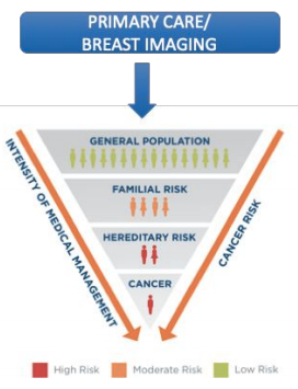 Primary Care/ Breast Imaging 